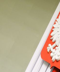 Socjalne eldorado posłów i senatorów