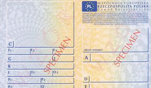 Łatwiej, ale i tak trzeba rejestrować samochód w pół roku