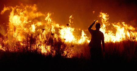 Żegnaj korniku, witaj kleszczu! Co oznaczają dla nas zmiany klimatyczne?