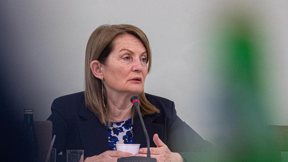 Elżbieta Chojna-Duch była wiceministrem finansów w rządzie PO-PSL. Dziś jest kandydatem PiS do Trybunału Konstytucyjnego