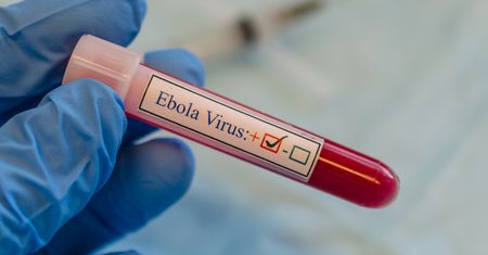 EBOLA – krwawe starcia w pobliżu ognisk epidemii