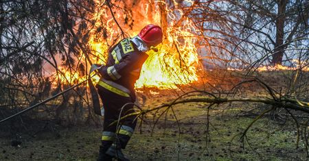 Majówka zagrożona. Możliwe zakazy wstępu do lasów
