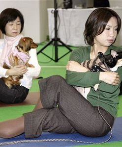 Komputer, który zrozumie twojego psa