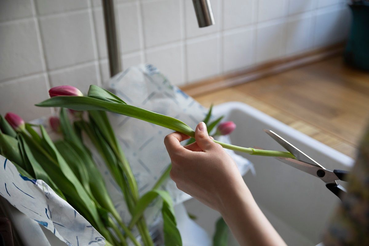 Gdy tulipany w wazonie opadają, zastosuj ten trik. Fot. Getty Images