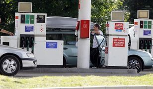 Które stacje wybierają Polacy?