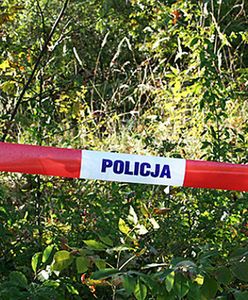Makabryczne wydarzenie na Pomorzu. Znaleziono rozczłonkowane ciało, było pogryzione przez dziki