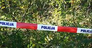Makabryczne wydarzenie na Pomorzu. Znaleziono rozczłonkowane ciało, było pogryzione przez dziki