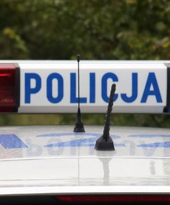 Był poszukiwany trzema listami gończymi. Pracował przy remoncie komendy policji