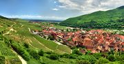 Alzacja - najmniejszy i najpiękniejszy region Francji