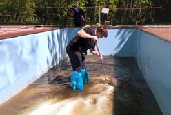 Baseny i kąpieliska. "Są jak skarbiec bez dna"