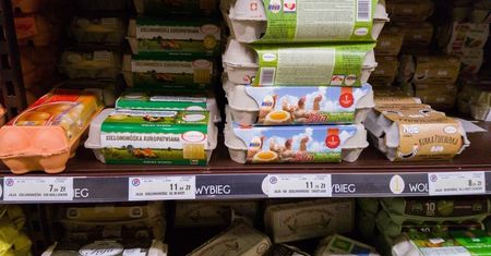 Jaja i masło coraz droższe. W dwa lata koszt jajecznicy wzrósł niemal o połowę