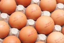 Afera jajeczna: inspekcja nie dopatrzyła się nieprawidłowości