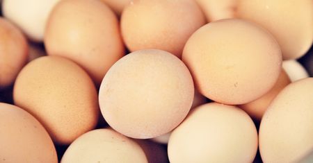 Rezygnacja z jaj z chowu klatkowego podjęta zbyt pochopnie? Tak wskazuje analiza