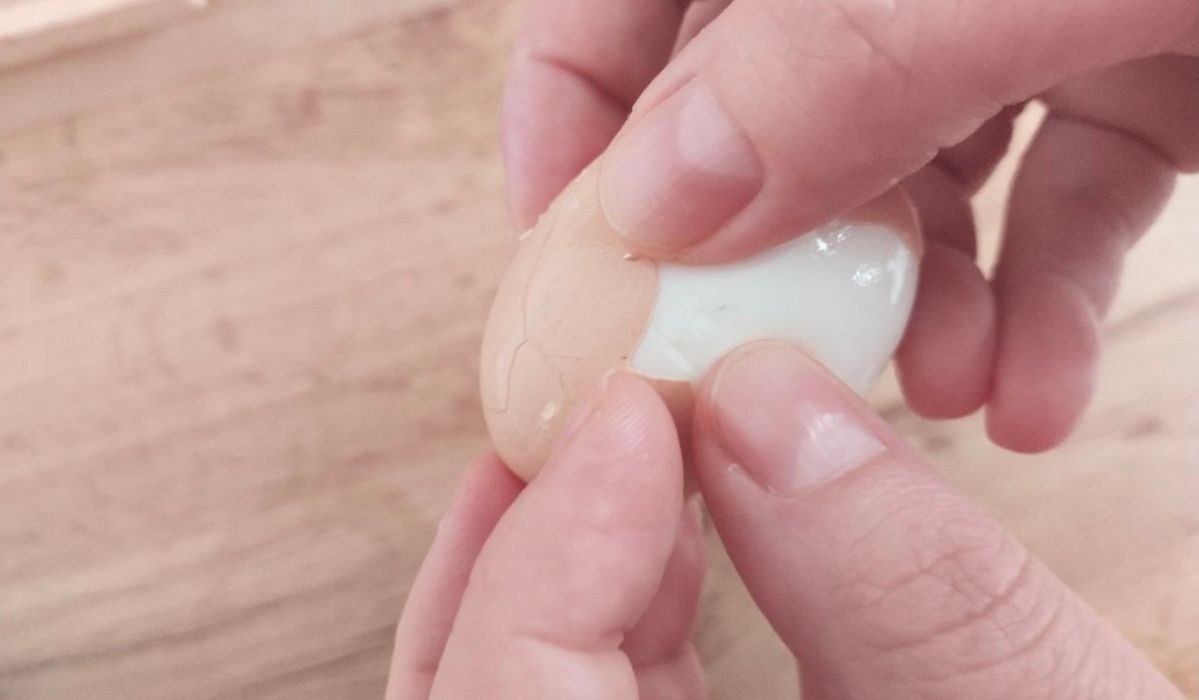 Peeling hard-boiled eggs without a hitch: Secrets to preserve the perfect white