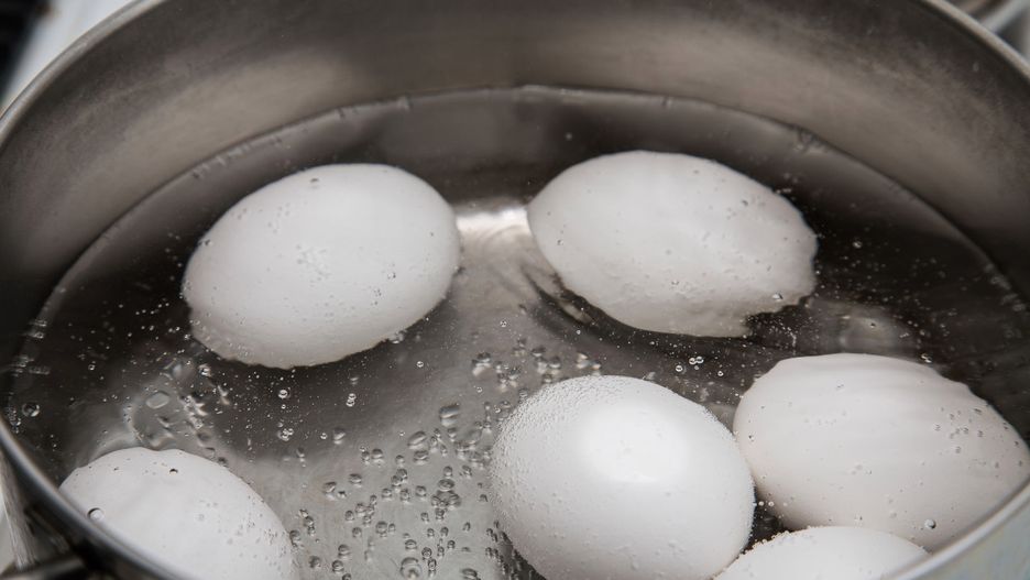 Ostrich egg in a nest.