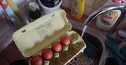 Czy trzeba myć jajka przed spożyciem? Sprawdź, co musisz wiedzieć