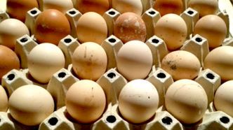 Wytłoczka jajek pełni ważną funkcję, o której nie pomyślałeś