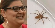Była pewna, że ma wodę w uchu. Lekarze odkryli u niej jadowitego pająka