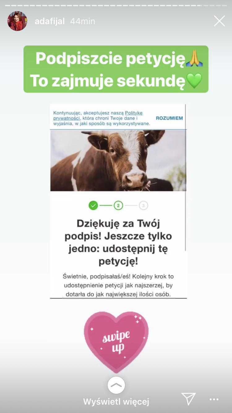Ada Fijał - gwiazdy bronią wolnych krów