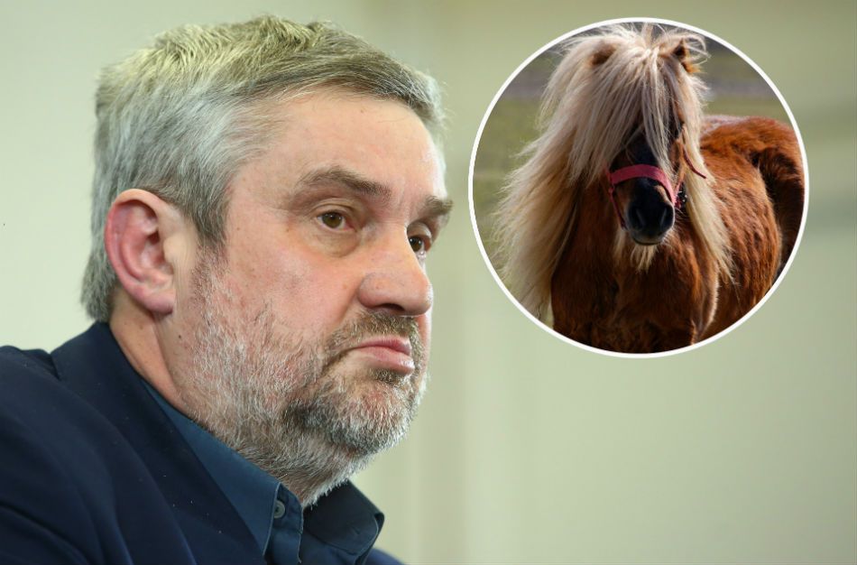 Jan Krzysztof Ardanowski, minister rolnictwa pozostaje niewzruszony na losy polskich koni. 