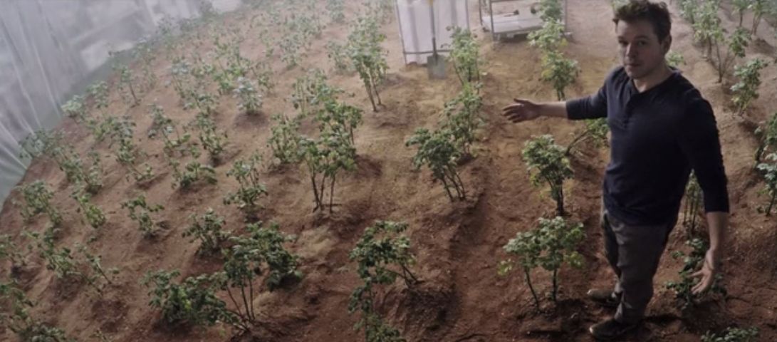 Warzywa wyhodowane na Marsie będą się nadawać do jedzenia