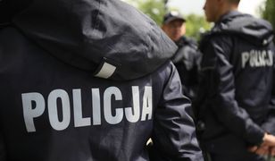 Łódź. Policja złapała 18-latków demolujących i okradających taksówki