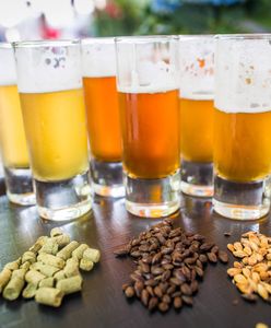 Międzynarodowy Dzień Piwa. To musisz o nim wiedzieć