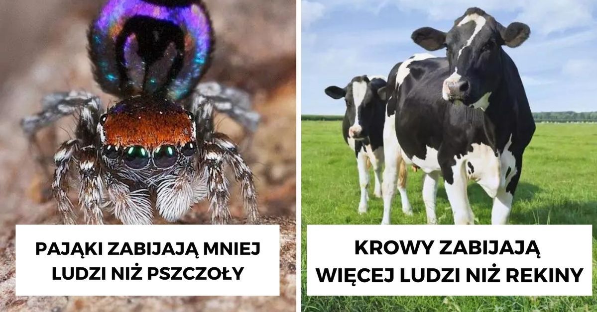 20 zwierząt-zabójców. To one najczęściej doprowadzają do śmierci ludzi