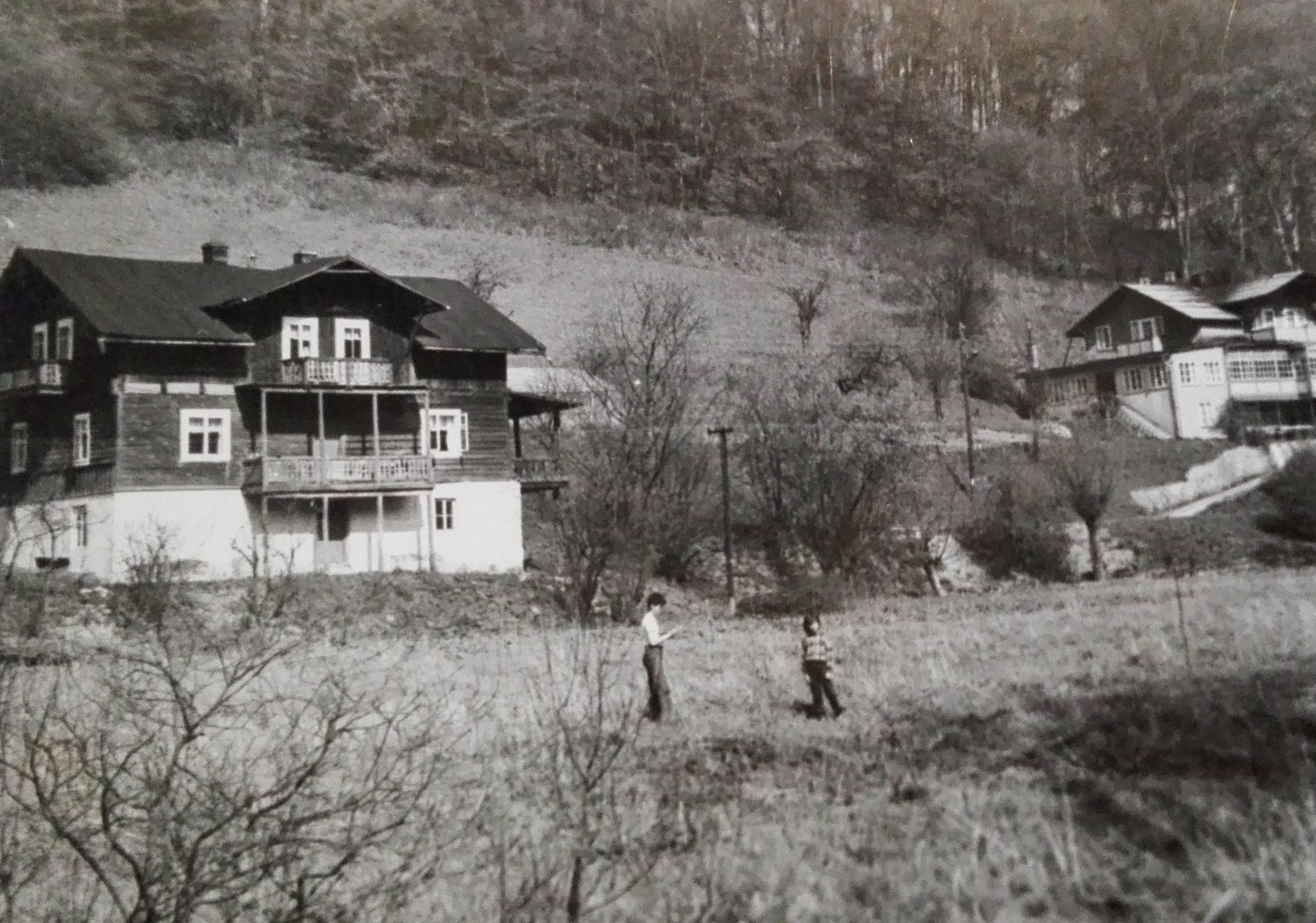 Obraz