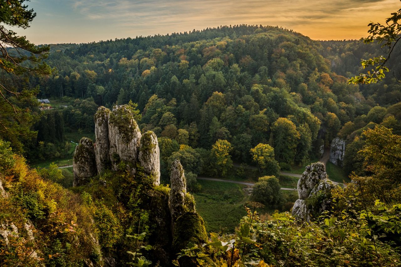 Maciejówka, Maczuga Herkulesa i kapliczka "Na Wodzie". Wyjątkowe miejsce w Polsce na weekend