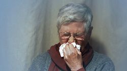 Alergia - prezentacja edukacyjna