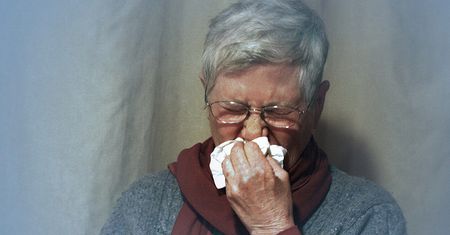 Alergia - prezentacja edukacyjna
