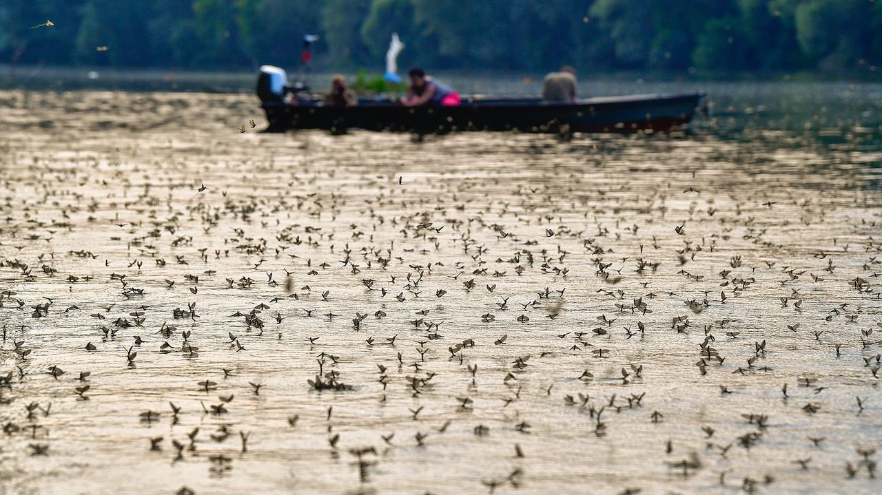 Kim, Komenda i Jętki. Najlepsze zdjęcia tygodnia