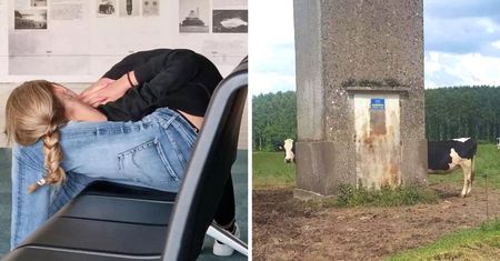Zdjęcia, przez które przestaniesz wierzyć własnym oczom!