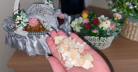 Podczas świąt wielkanocnych nie wyrzucaj skorupek z jaj. Zbieraj je, bo mogą ci się przydać