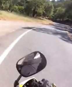 Pies zrzucił go z motocykla, a sekundę później wyskoczył na niego jelonek. Motocyklista nagrał wszystko kamerą