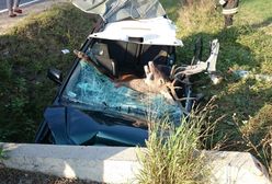 Jeleń wpadł do samochodu przez szybę. Strażacy pokazują wstrząsające zdjęcia