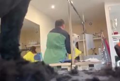 Psi fryzjer znęcał się nad zwierzętami. Jego zachowanie nagrano