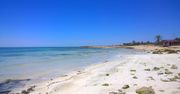 Djerba - Tunezja w pigułce. Wyspa, która zachwyci każdego