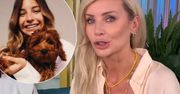 Agnieszka Woźniak-Starak nie wytrzymała. W "DDTVN" uderzyła w Julię Wieniawę. Poszło o jej ukochanego psa. "Nie lubię takiego trendu"