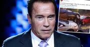 Arnold Schwarzenegger miał poważny wypadek samochodowy. Zdjęcia zmiażdżonych aut porażają. W jakim jest stanie?