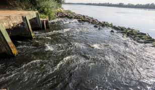 Warszawa. Awaria oczyszczalni ścieków Czajka. Greenpeace: To cyniczna rozgrywka polityczna