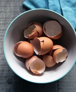 Jak wykorzystać skorupki po jajkach? Poznaj 8 nietypowych zastosowań