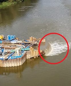 Ścieki znów płyną do Wisły w Warszawie. To przez deszcz