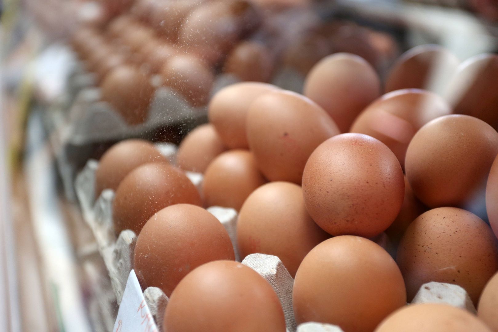 Toksyczne jajka coraz bliżej Polski. 2 miliony w Belgii, Holandii, a teraz w Niemczech