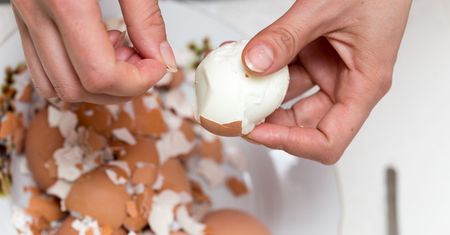 Obieranie jajek. Dlaczego niektóre jajka źle się obiera?