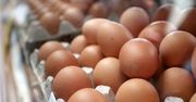 Toksyczne jajka coraz bliżej Polski. 2 miliony w Belgii, Holandii, a teraz w Niemczech