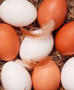 5 rzeczy, które zmienią twoje myślenie o jajkach