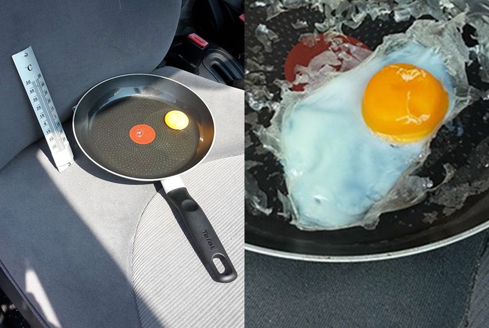 Dziecko? Pies? Zobacz zwykłe jajko w gorącym aucie