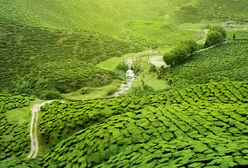 Jak marketing zwodzi turystów na Sri Lance